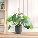 SYCARON Moss Pole, 2 PCS 28 Inches Moss Pole Sticks for Plant Support Monstera, Coco Coir Plant Support Stakes for Small Potted Climbing Plants, Indoor Plants to Grow Upwards