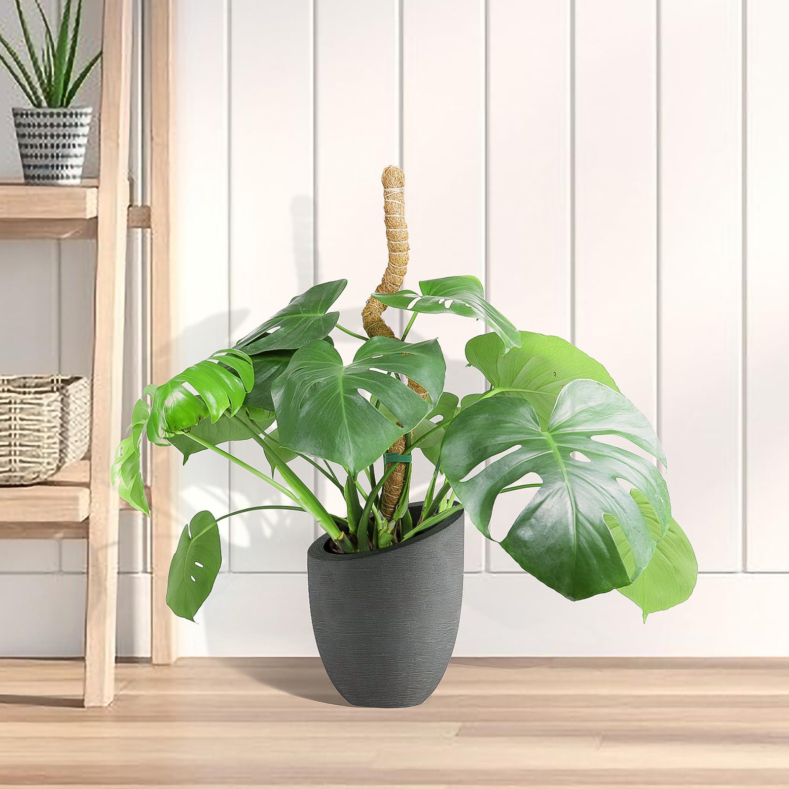 SYCARON Moss Pole, 2 PCS 28 Inches Moss Pole Sticks for Plant Support Monstera, Coco Coir Plant Support Stakes for Small Potted Climbing Plants, Indoor Plants to Grow Upwards - 5