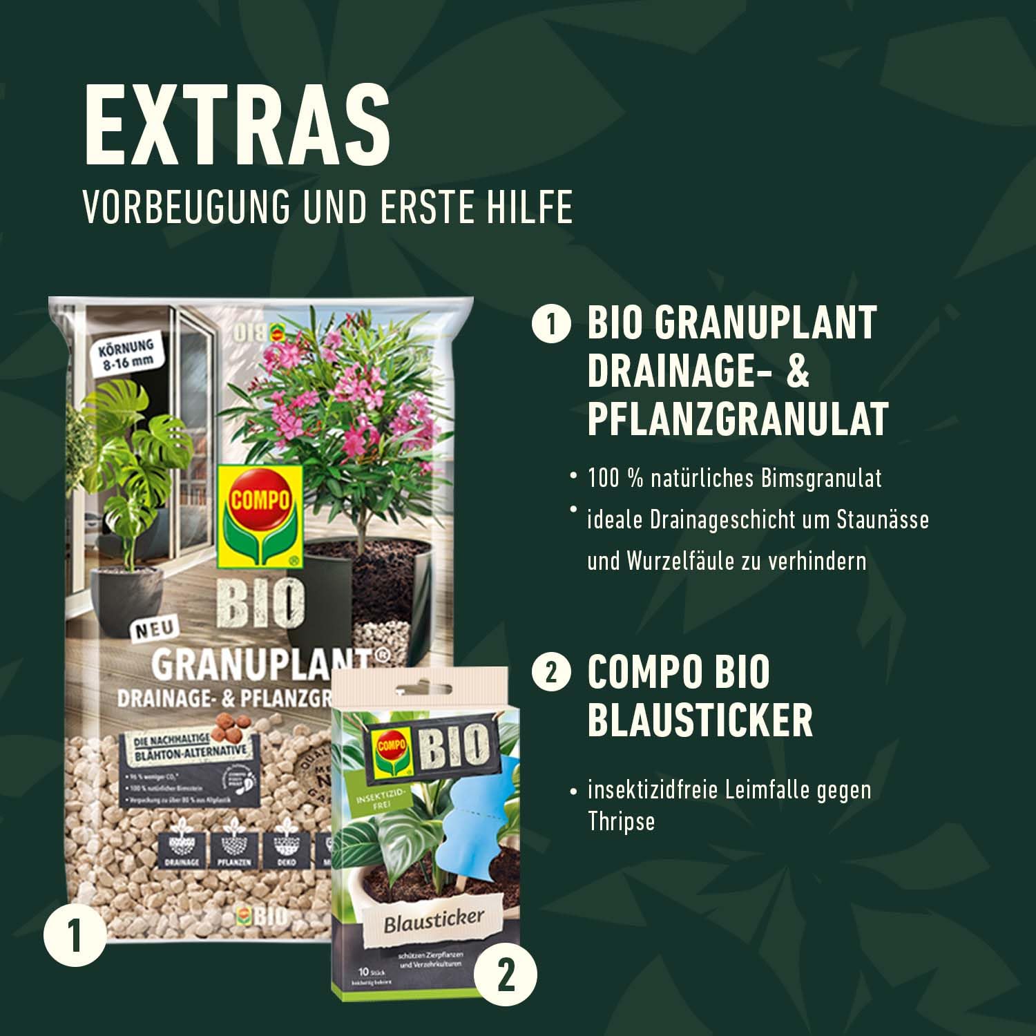 GROW Box M für die Aussaat von Spezialkulturen im Indoor- & Outdoorbereich und eine optimale Wachstums- & Blütenphase (Medium)