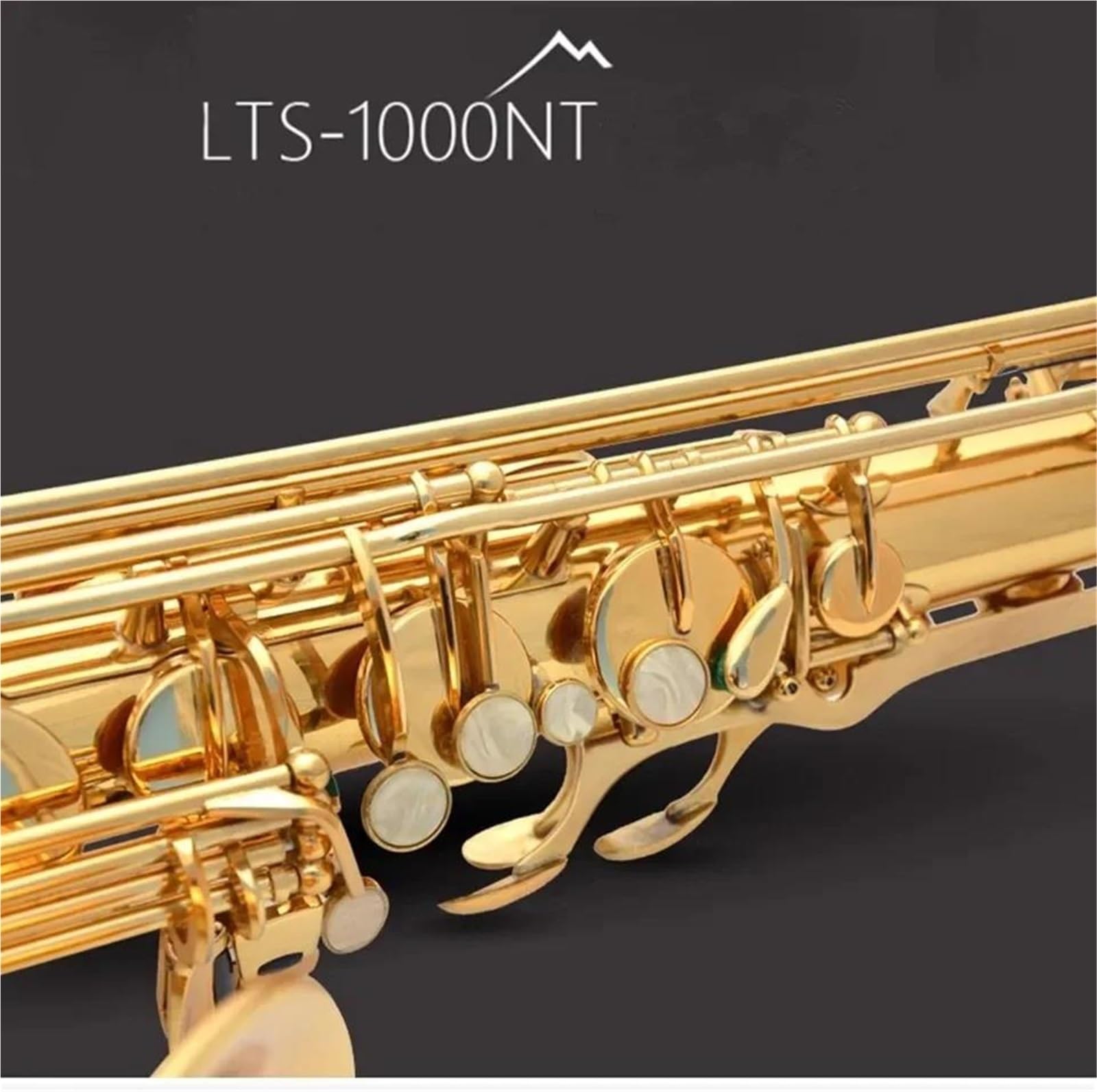 Sassofono professionale Sassofono tenore dorato accessori per prestazioni professionali