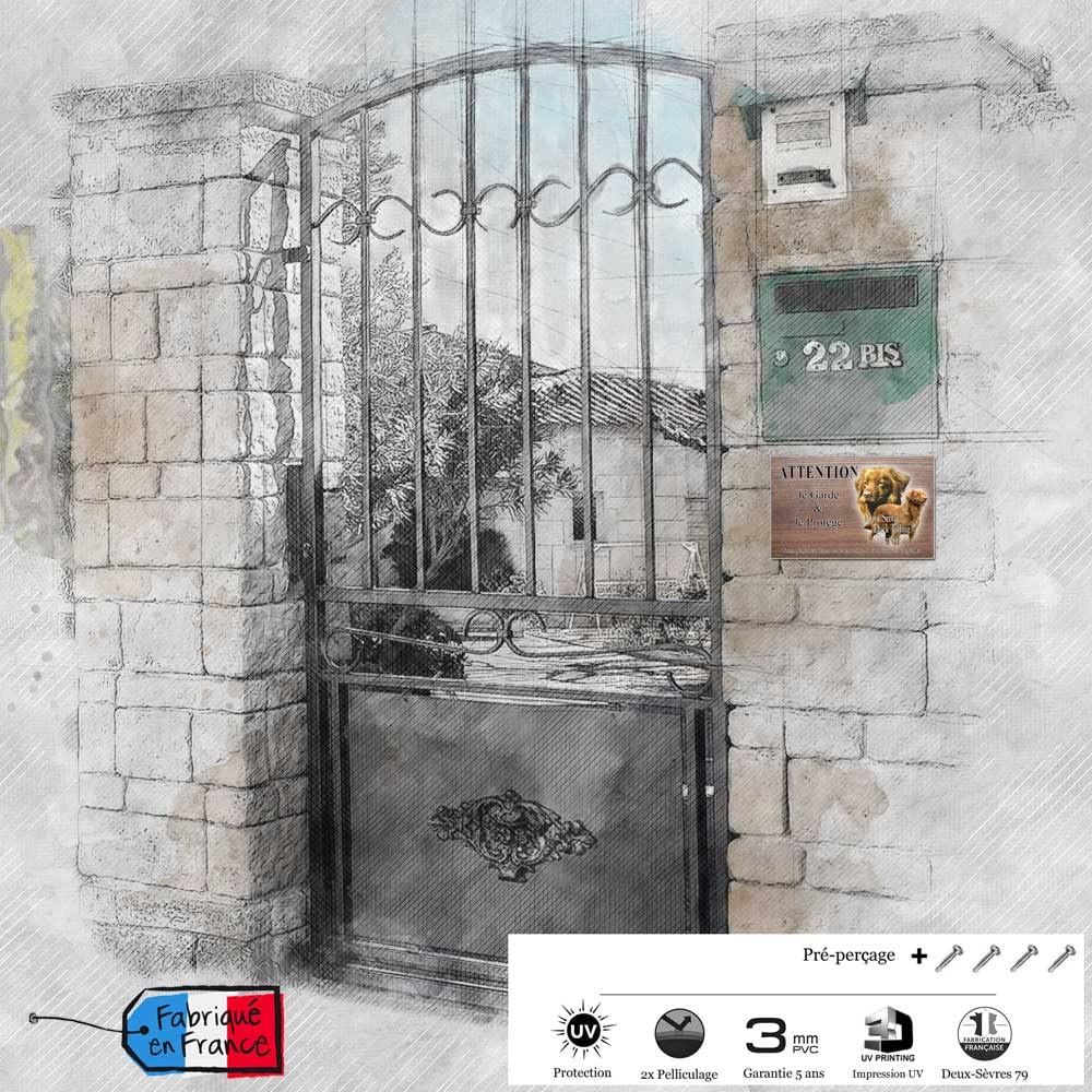 Nova Scotia Duck Tolling Retriever Breeders and Puppies in the USA