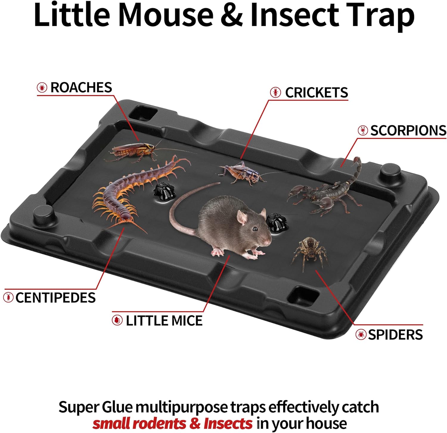 LULUCATCH 12-Pack Sticky Traps: The Ultimate Pet-Safe Pest Control Solution!