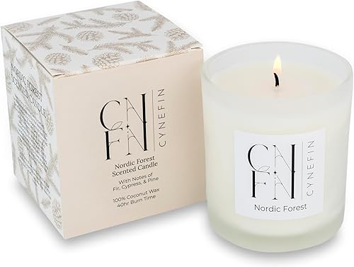 Nordic Forest Vela perfumada, vela de otoño, hecha con cera de coco 100% - Vela acogedora de temporada, decoración de invierno, velas de Navidad, 40