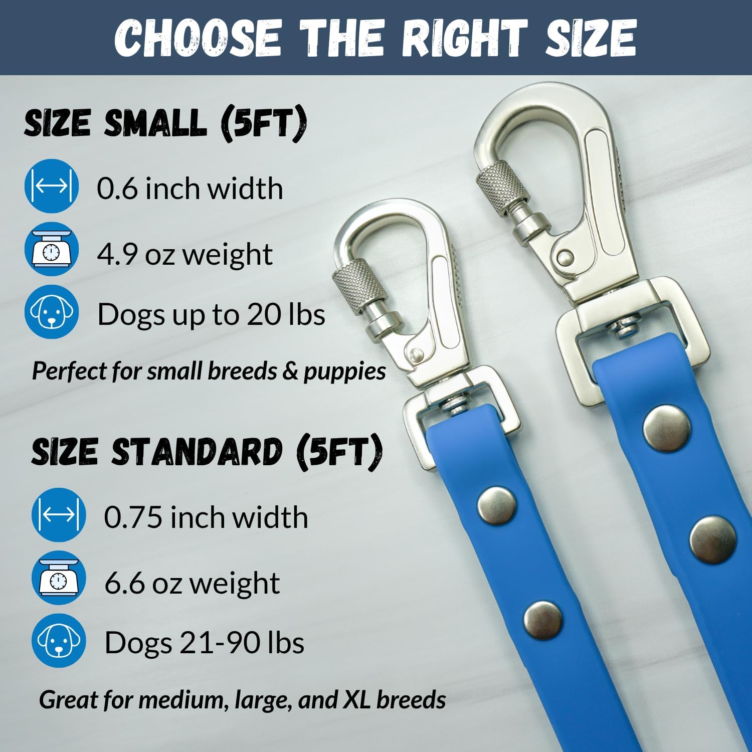 DJANGO Tahoe Waterproof Dog Leash – 5ft Durable Waterproof Dog Leash for Small Dogs with Locking Carabiner Clip, Odor-Proof Coated Webbing, Soft Grip, & Premium Silver Hardware – Alpine Blue