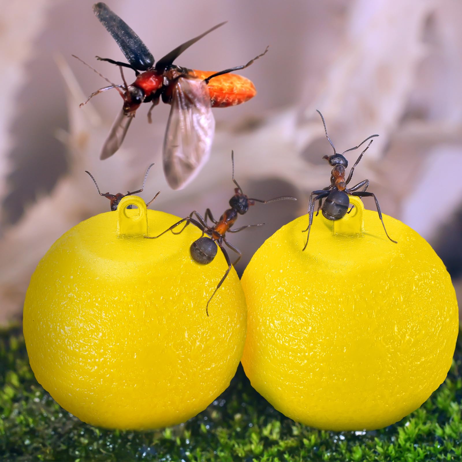 Qualirey 10 bolas adhesivas para atrapar moscas de la fruta, bola adhesiva para atrapar moscas, moscas, mosquitos, avispas, insectos, insectos voladores, trampas de bolas de trampa (amarillo)