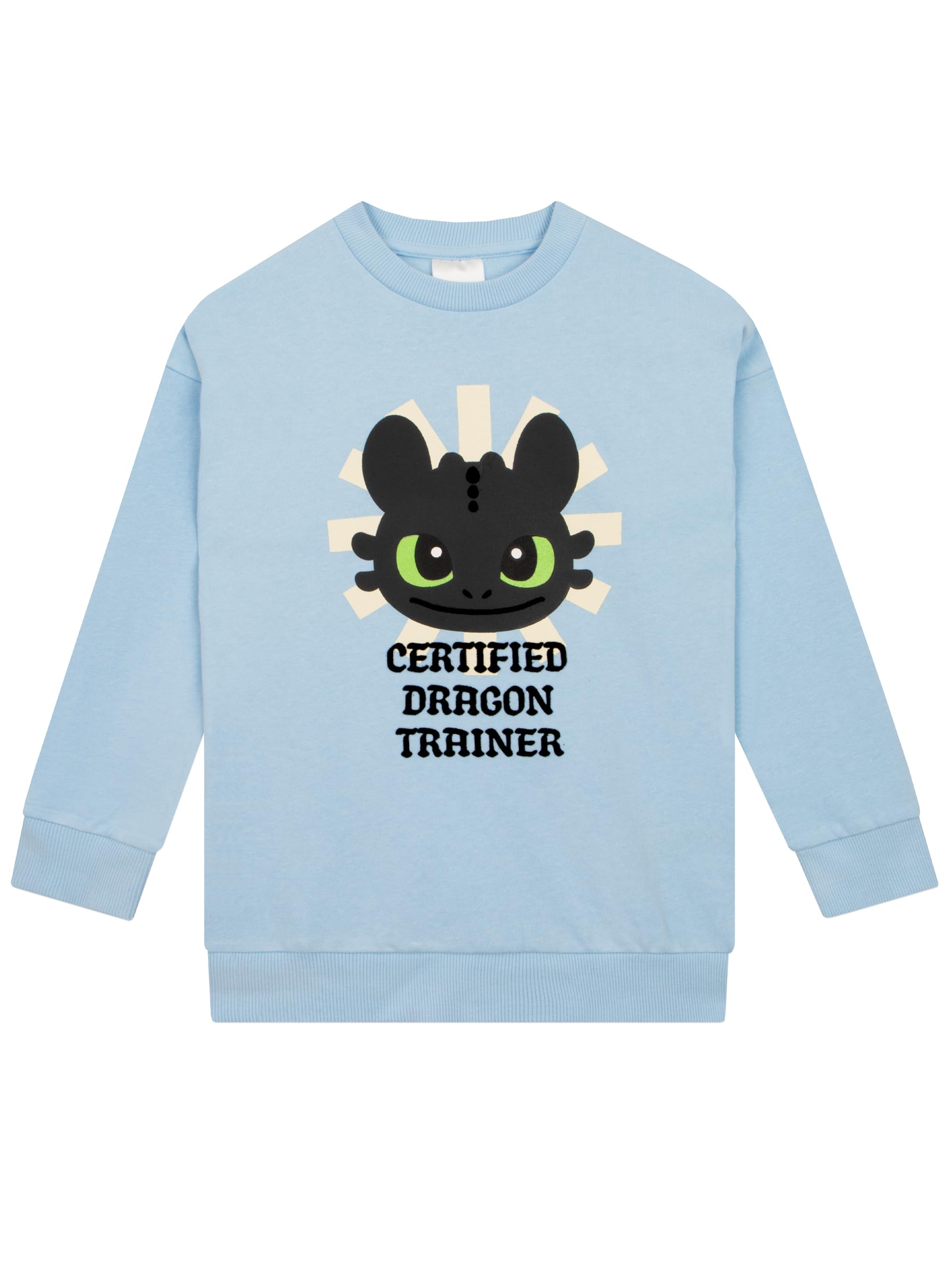 How To Train Your Dragon - Girls - Sweatshirt - 12-13 Years - Blue