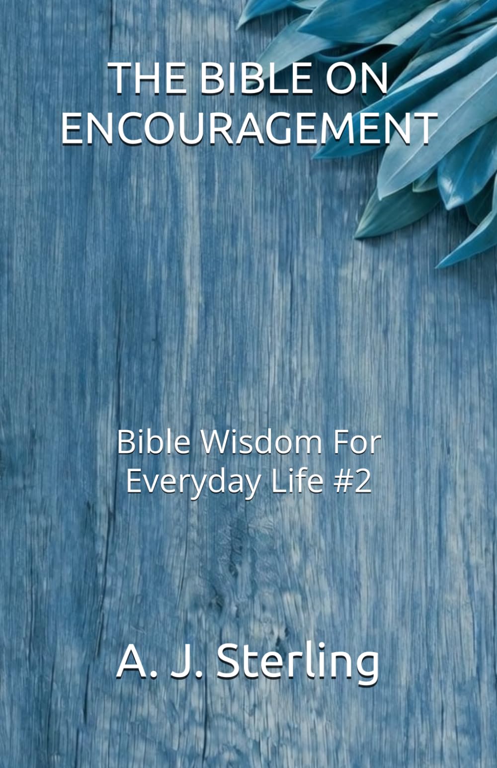 THE BIBLE ON ENCOURAGEMENT: Bible Wisdom For Everyday Life #2