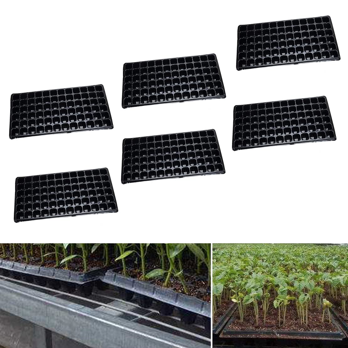 6 pièces 72 cellules Plaque de démarrage pour semis Germination Pépinière Pot de Culture pour Plantes de Jardin Fleurs