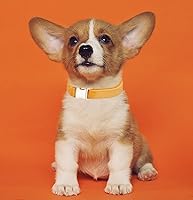 Vista 70 de Collar de Algodón Suave para Perro con Hebilla de Metal Ajustable de Servicio Pesado Cómodo Collares de Pana para Perros Pequeños, Medianos