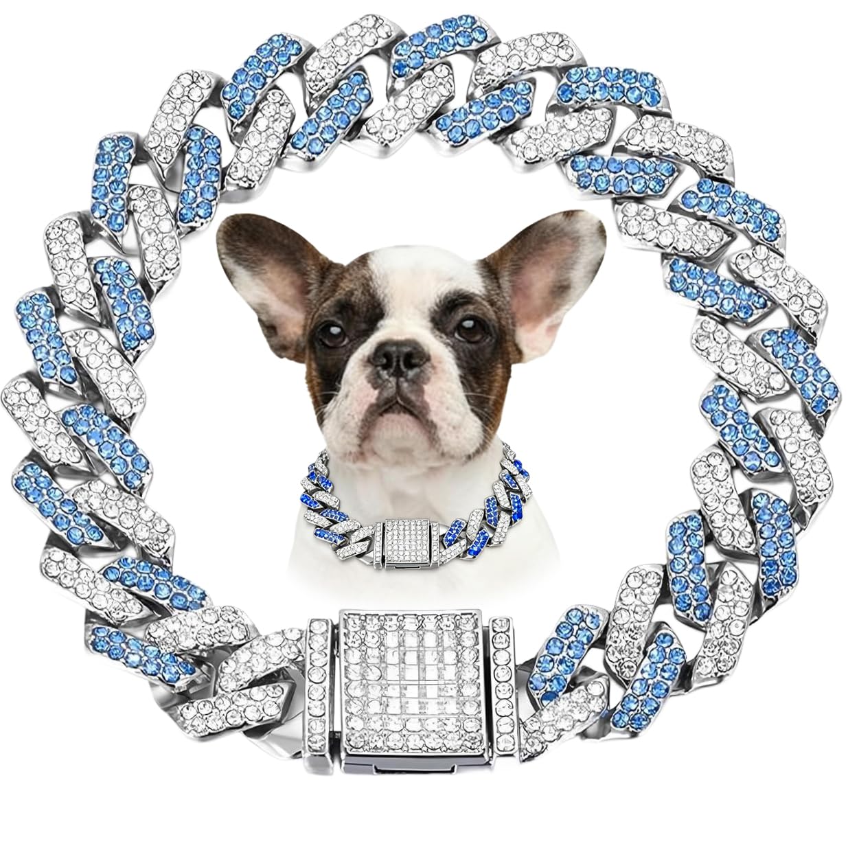 Chaîne bleue pour chien idéale pour les sorties en ville