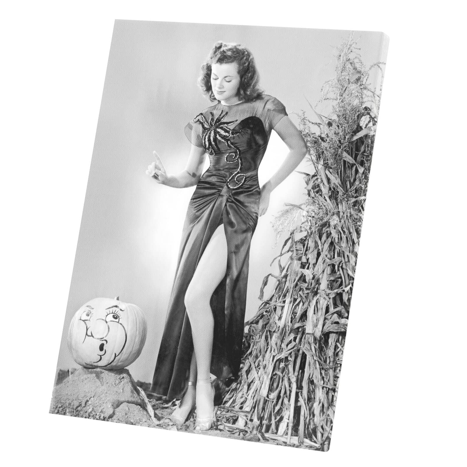 Tableau Sorcière Barbara Hale Halloween Cadeau Idéal Cinéphile Vintage - 5