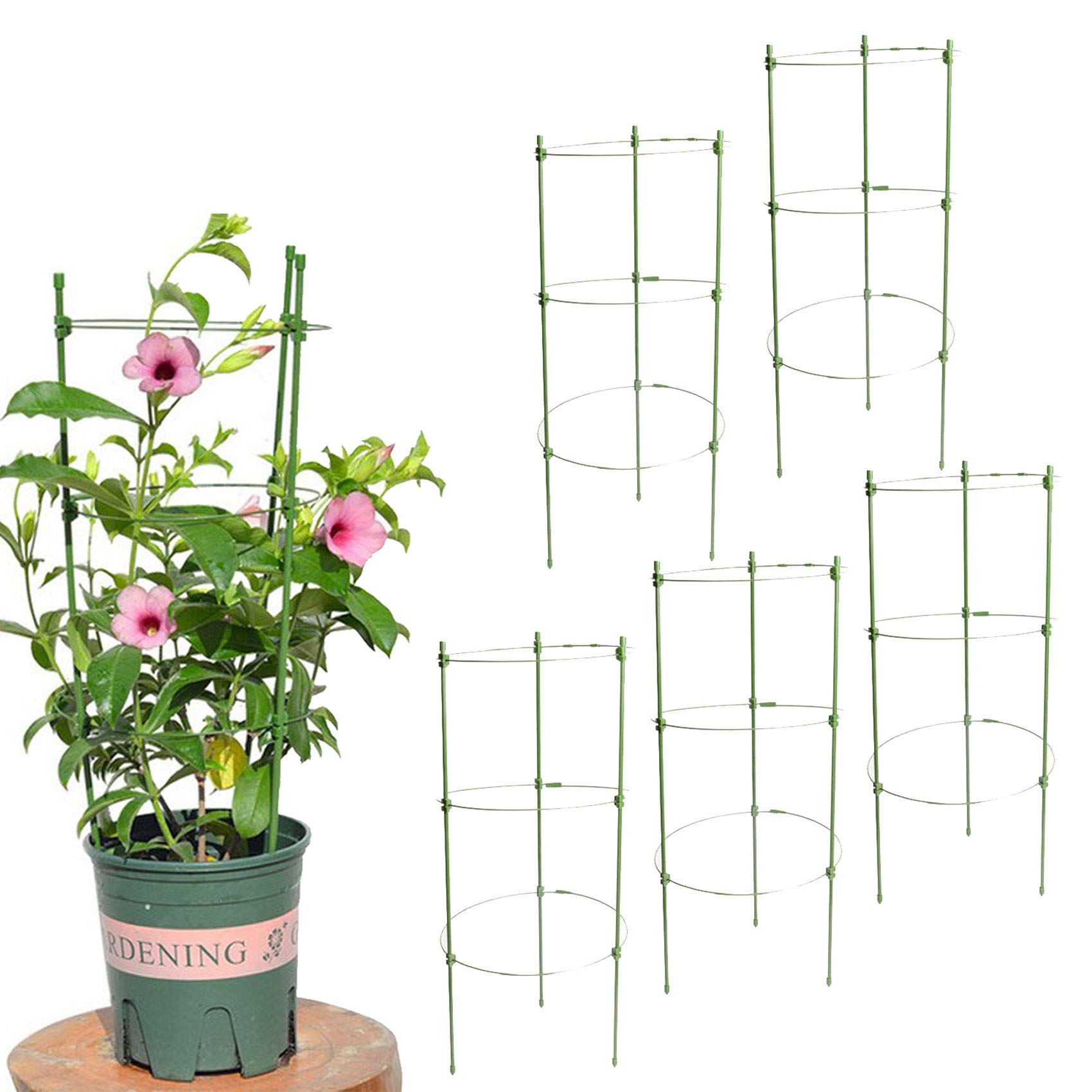 Tomato Cages for Garden 5 Pack 18Inches Garden Stakes for Plants with 3 Adjustable Support Rings, Plant Stake for Supporter Climbing Plants, Slip and Shock Resistant by WOCHOLL