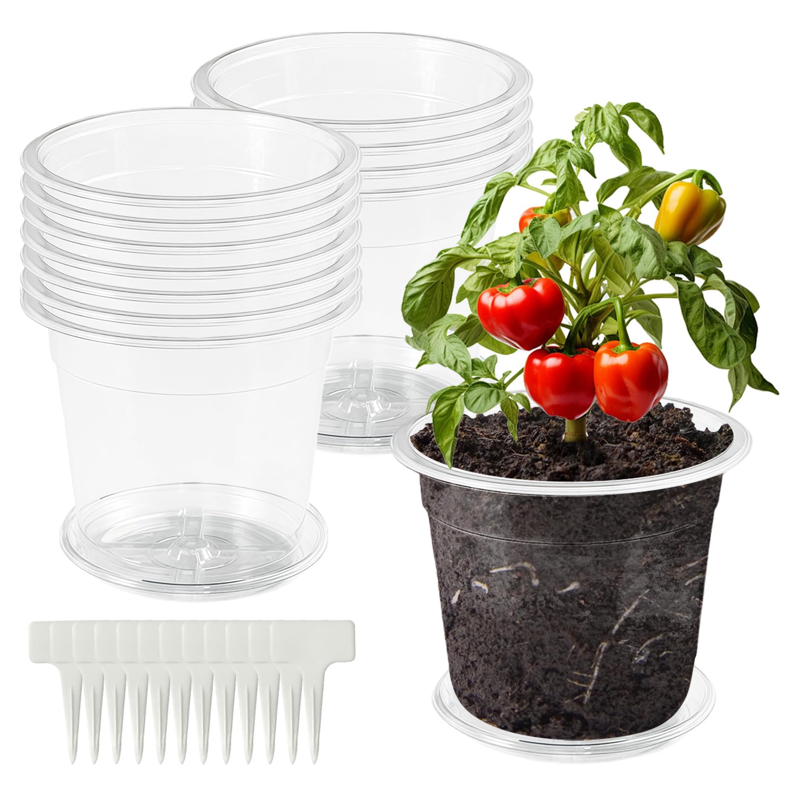 ANBET 12 Pcs Clear Plastic Plant Pot with Tray, Small Orchid Flower Plant Pots with Holes & 10pcs Planting Labels, 12.5cm Seedling Pots for Plants Transplanting Cutting Succulents Indoor Outdoor