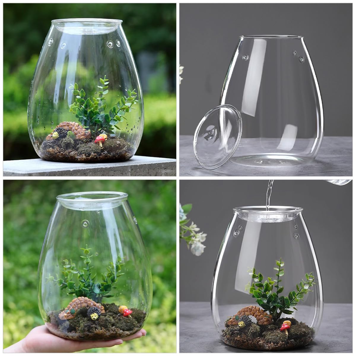 OSALADI Terrarium Glasflasche Ökologische Pflanzflasche Mikrolandschaft Selbstgemacht Behälter für Moos Pflanzen Wohndeko Wohnzimmer Büro
