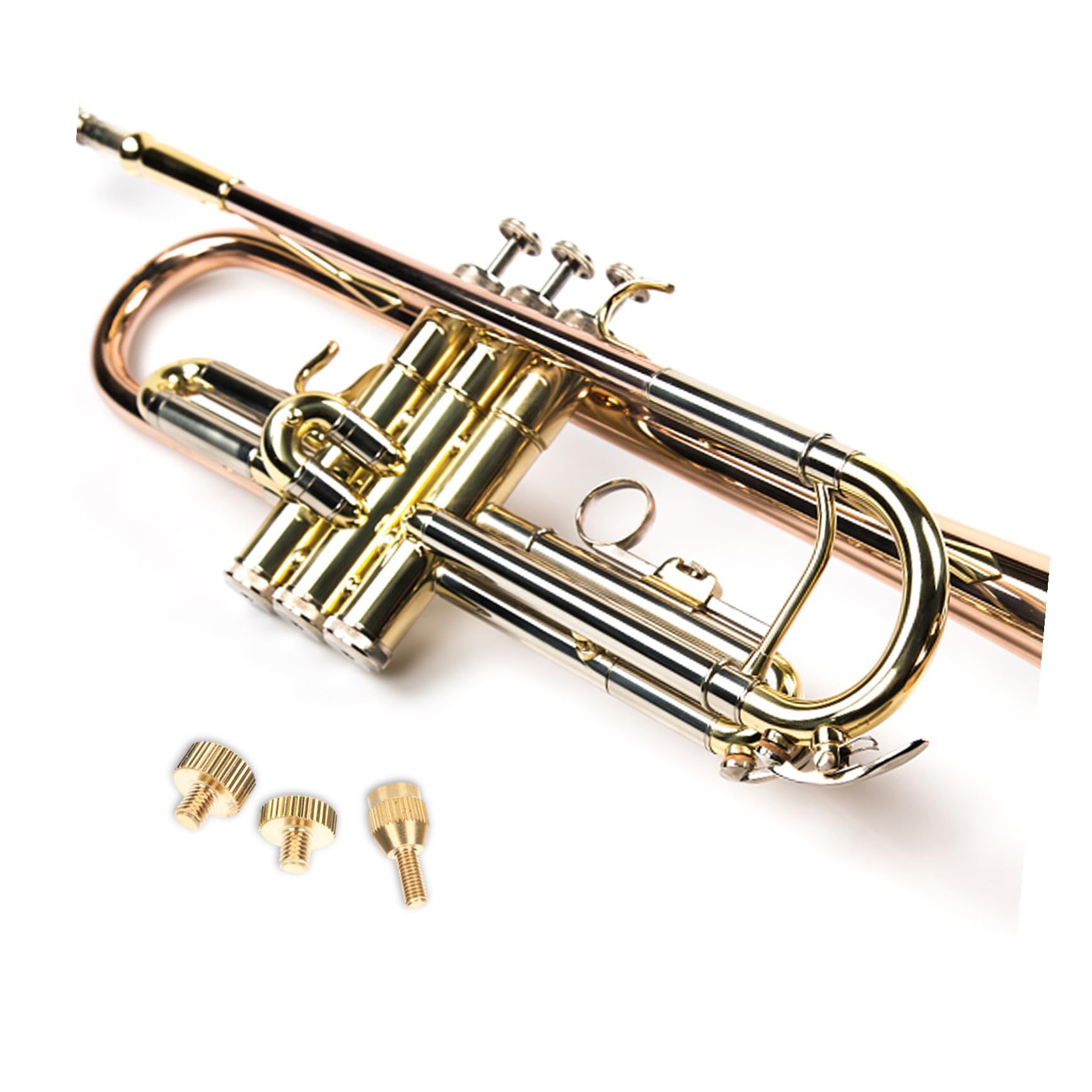 HEMOTON 5 Set Vite Di Ricambio Per Il Collo Del Sax Vite Professionale Per Il Collo Del Sassofono Sostituzione Della Del Sax Accessorio Per Strumenti Musicali Metallo Golden