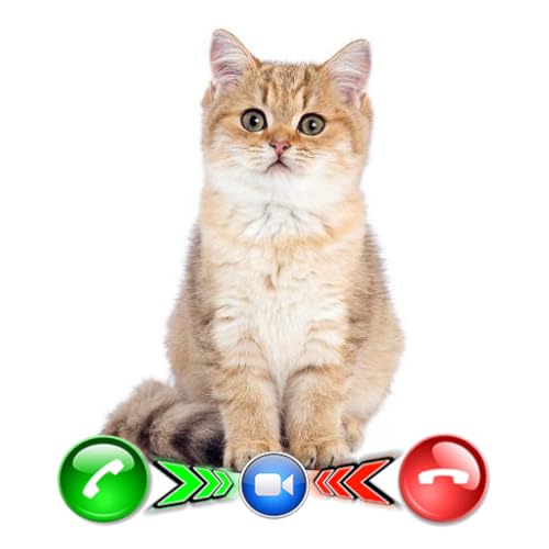 Tiny Cat Video Calling - Free Fake Phone Prank