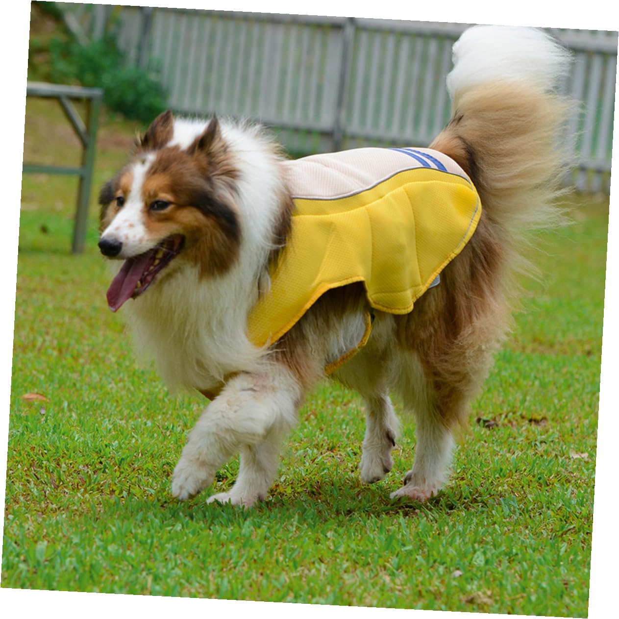 SHINEOFI Gilet D'été Veste Rafraîchissante Pratique et Respirante en Polyester pour Animaux de Compagnie Jaune pour Chiens, Défilés D'été Fêtes du Weekend