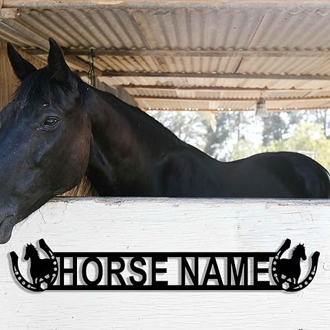 Horseshoe Metal Sign Decor, Custom Horseshoe Horse Name Wall Art, Personalized Hors...