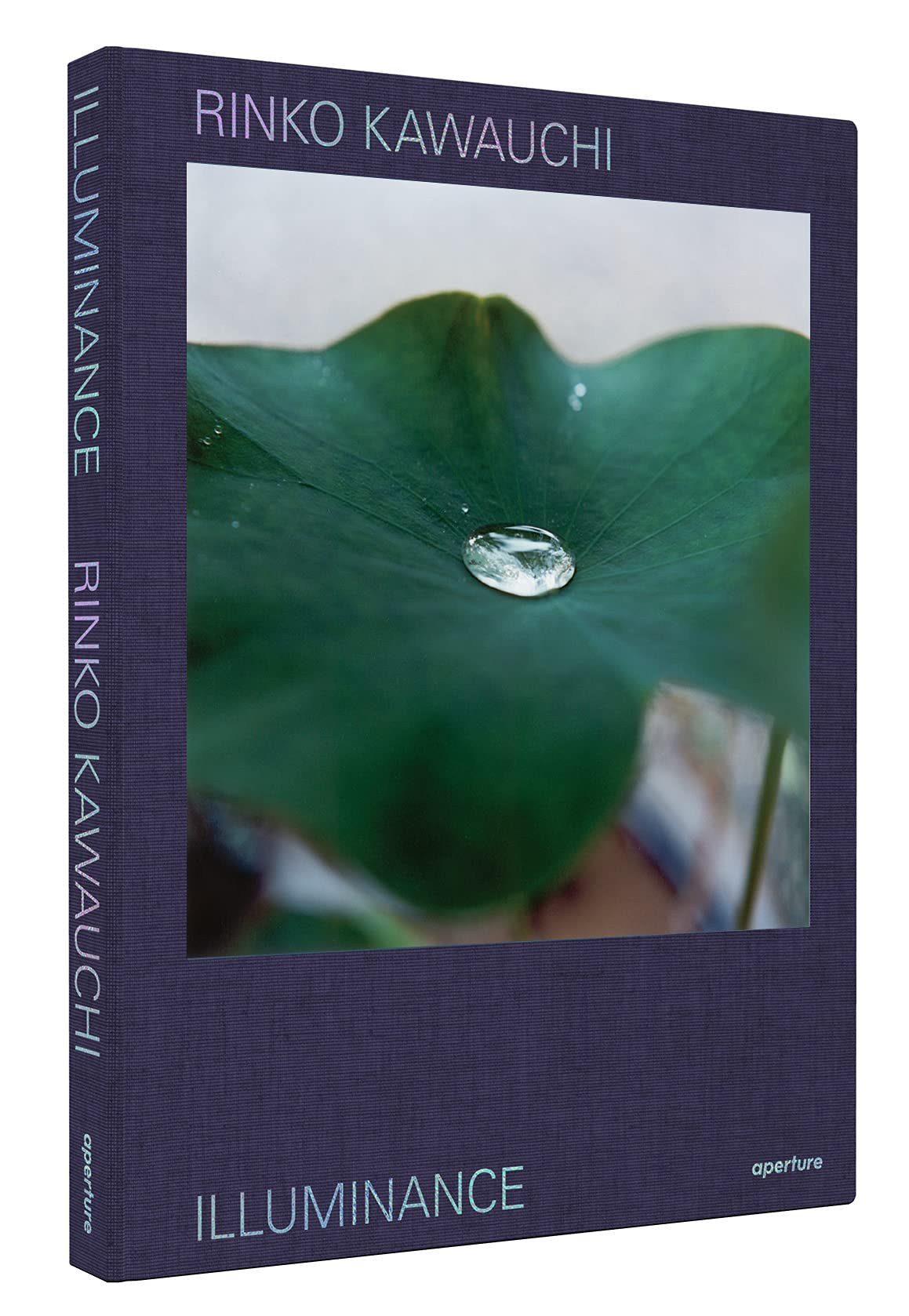 Rinko Kawauchi: Illuminance: The Tenth Anniversary Edition