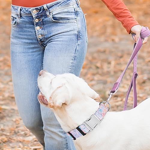 Miniatura 7 de ZooZoo Collar para perro ajustable, collar de perro con hebilla metálica de liberación rápida para perros grandes, lindo collar de perro para