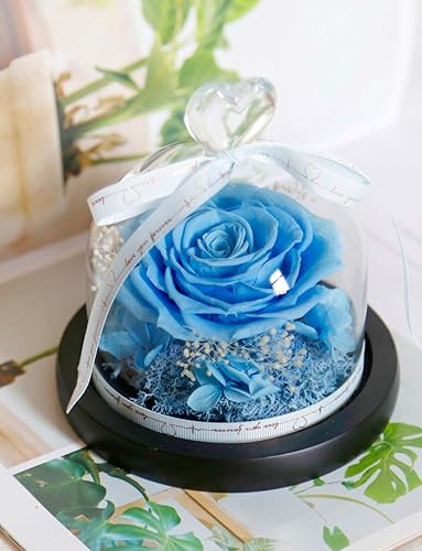 Miniatura 3 de DuHouse Forever Roses - Caja de flores reales preservadas, para regalo de San Valentín, cumpleaños, aniversario, Navidad (azul cielo)