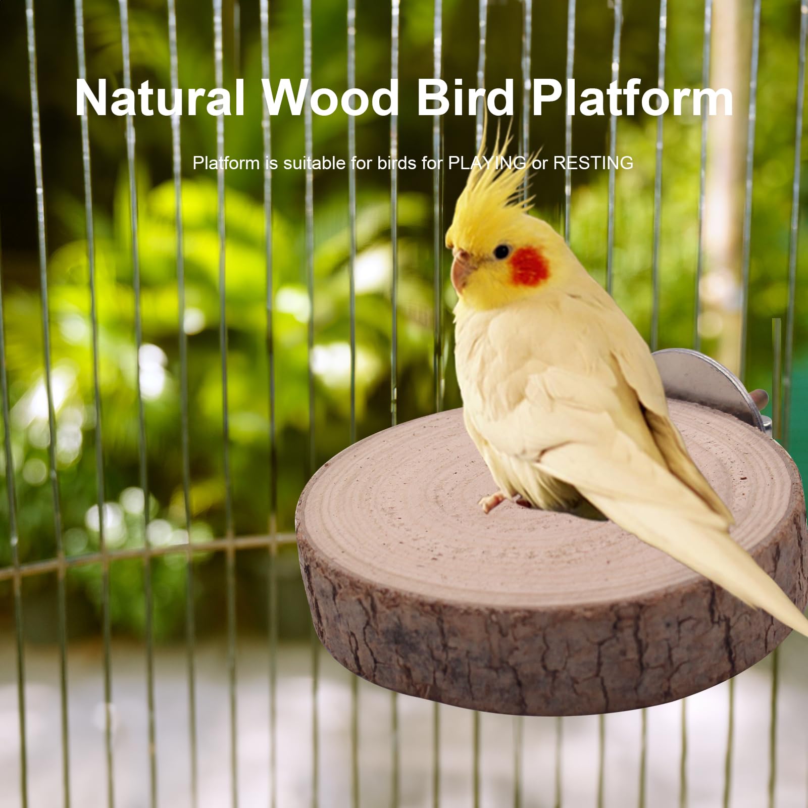 6PCS Bird Perches Natural Parrot Perch Stand for Cage, Grape Wood Stands, Bird Platforms, Parakeets Paw Grinding Fork Exercise Toys Set for Cockatiels, Conure, Parrot - image 4