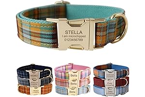 Custom Dog Collar for Safety in Foggy Conditions