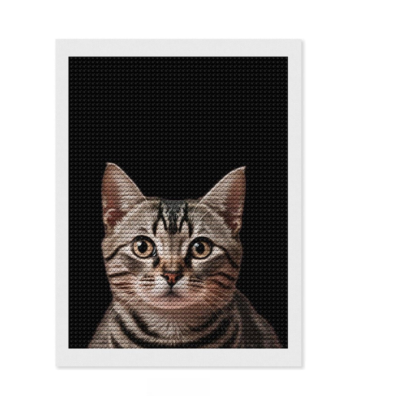 Junmoney Cute Cat DIY Diamond Art Canvas Kit 12"x16", Neat Printed Canvas, Mindful Craft Activity, Office Decor, Gift Idea