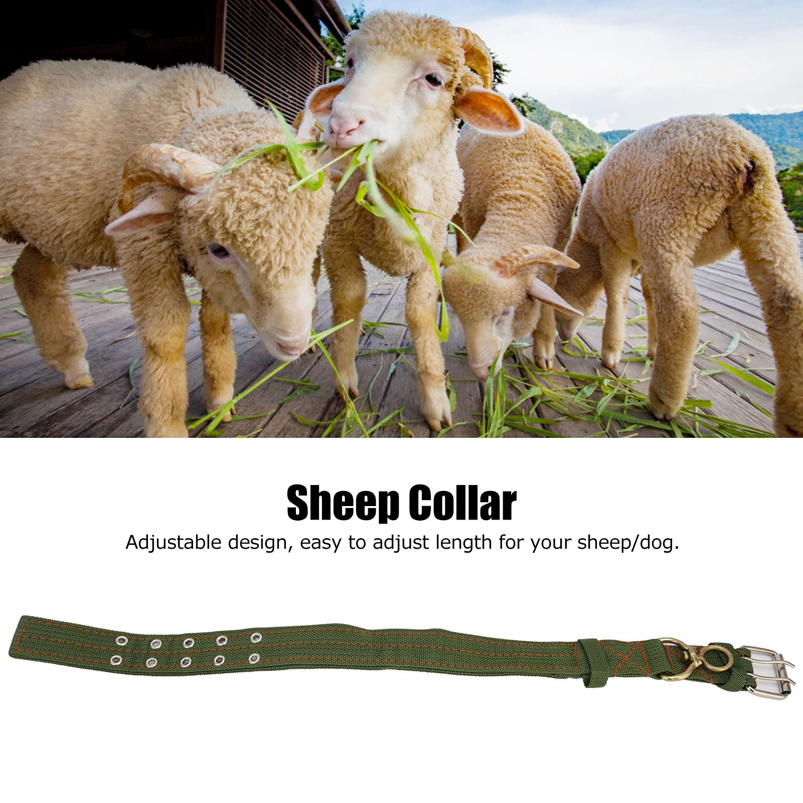 Schafhalsband Verstellbar  Robustes Halsband Fr Schafe, Rinder, Hunde &  Nutztiere