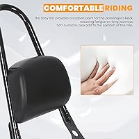 Vista 5 de ECOTRIC Respaldo tubular desmontable para pasajero compatible con Harley Sportster XL883C 883R XL1200R 1200C 1200S XLH883 XLH1200 de 2004