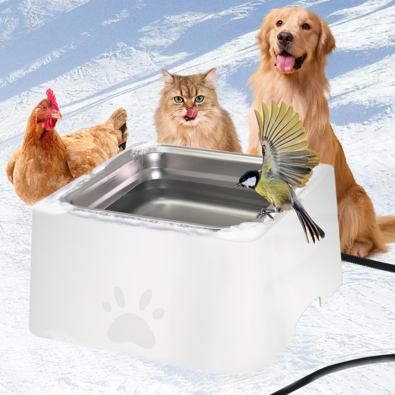 Abreuvoir extérieur pour animaux avec grand bol d'eau chauffant amovible lapin poulet
