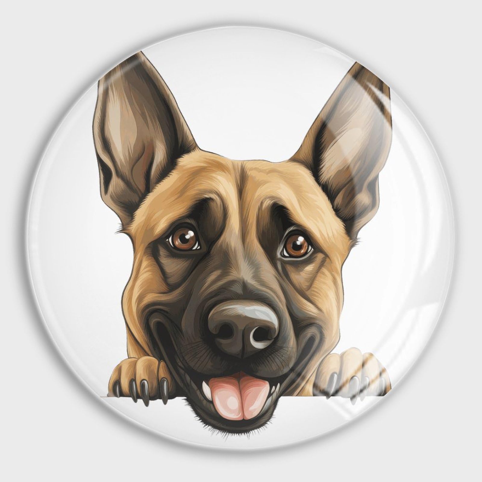 Aimant de réfrigérateur Malinois en verre, décoration durable pour lave-vaisselle