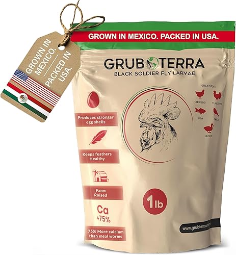 GrubTerra Larvas de mosca soldado negro secado dorado Suplemento premium para aumentar la producción de huevos para golosinas de gallina, alimento