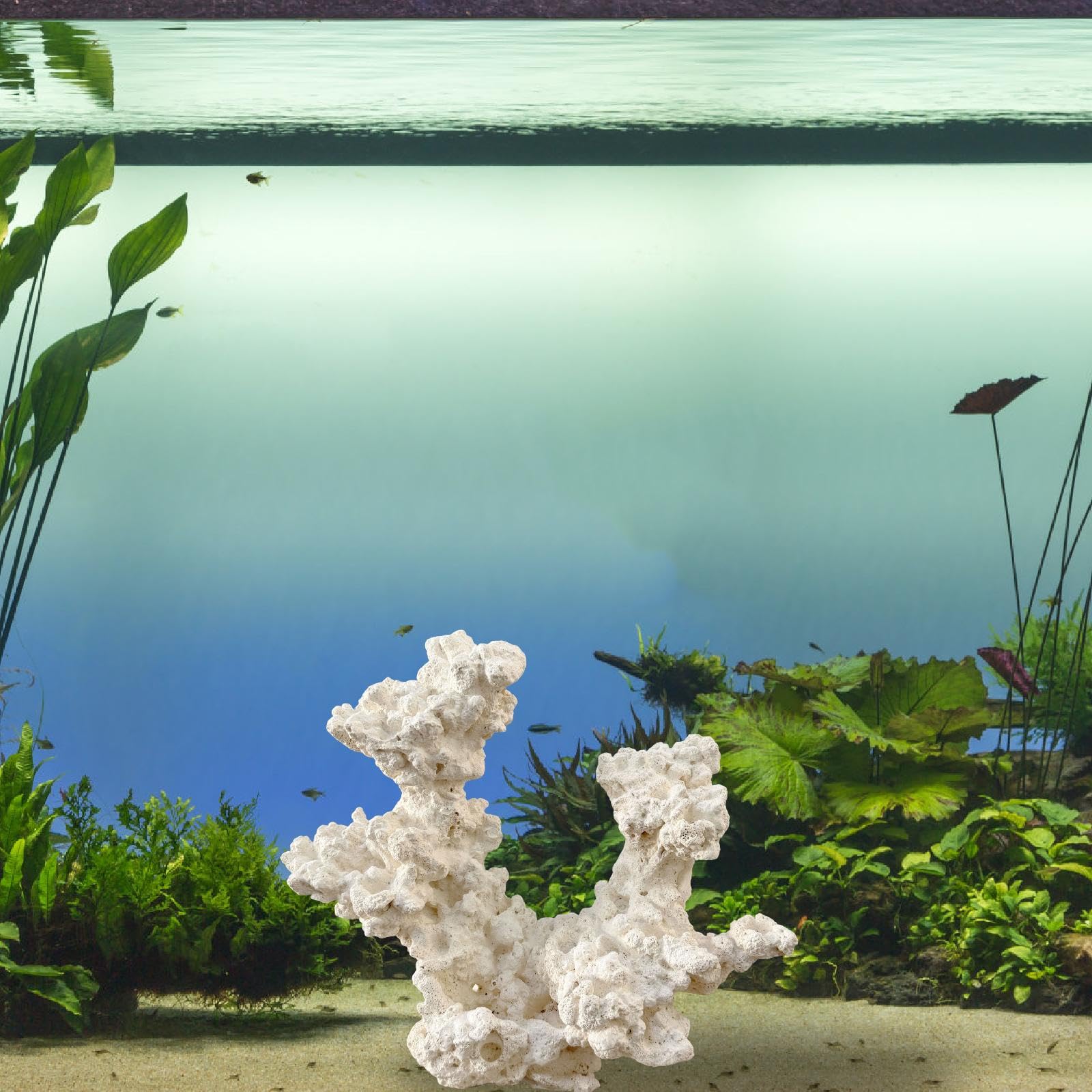 Décoration D'aquarium pour Poisson-Clown : Cachette, Sculpture Ornementale, Grotte de Reproduction pour Aquarium d'eau Douce, Accessoires pour, Style C