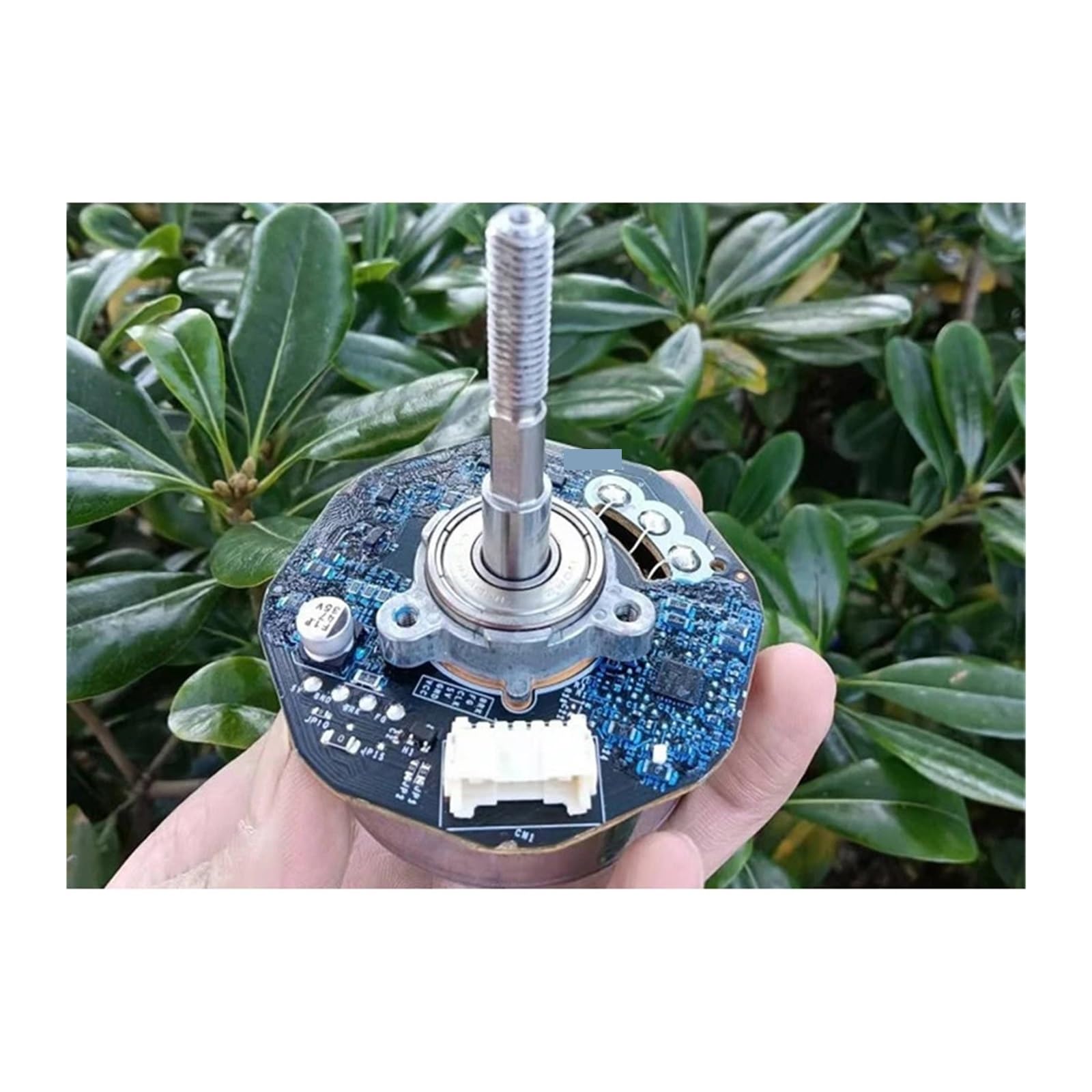 Moteur rotatif 2900rpm DC 24V 42F709S240 brushless haute longévité