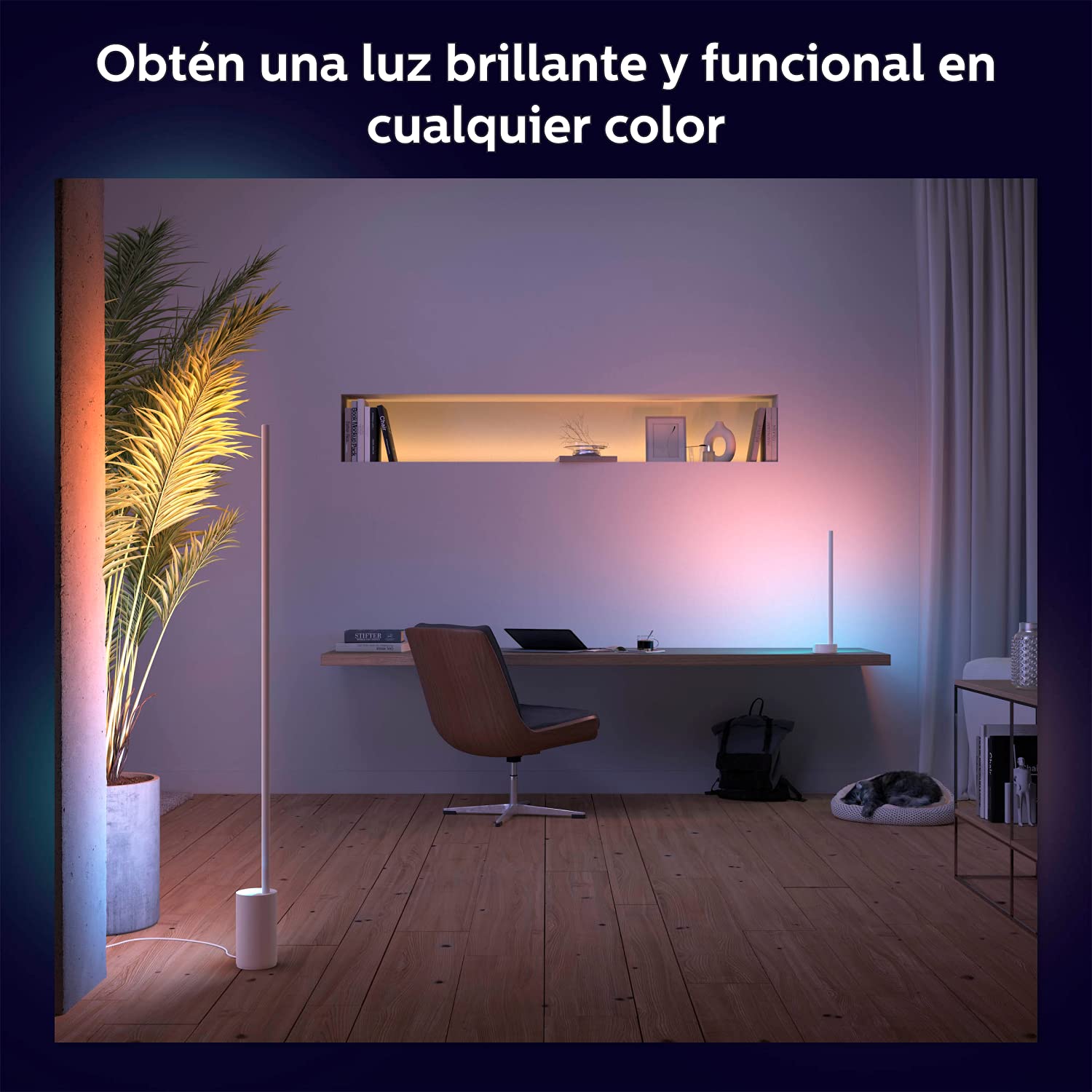 Philips Hue Signe Gradient– Lámpara inteligente, Lámpara de Pie LED Inteligente, Luz Blanca y de Luces de Colores, sistema de iluminación con tira led Compatible con Alexa y Google Home, Color Blanco