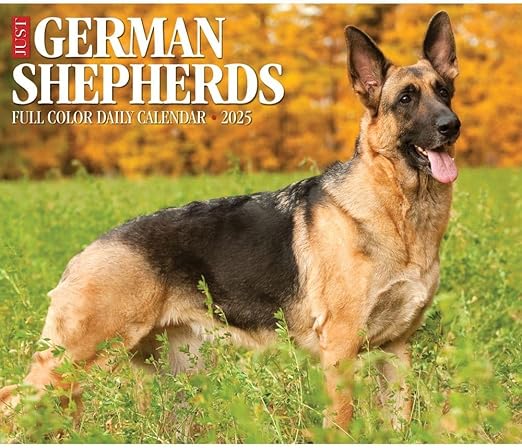 German Shepherds 2025 6.2" x 5.4" Box Calendar