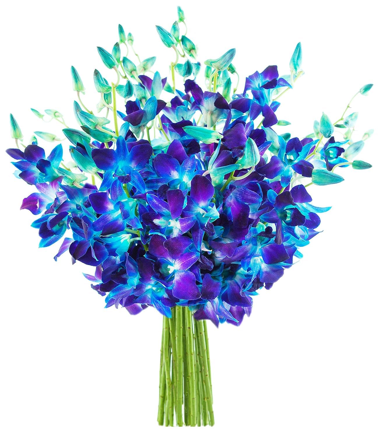 KaBloom-20 Blue Orchid Bouquet,Flowers for Valentine, Mother's Day