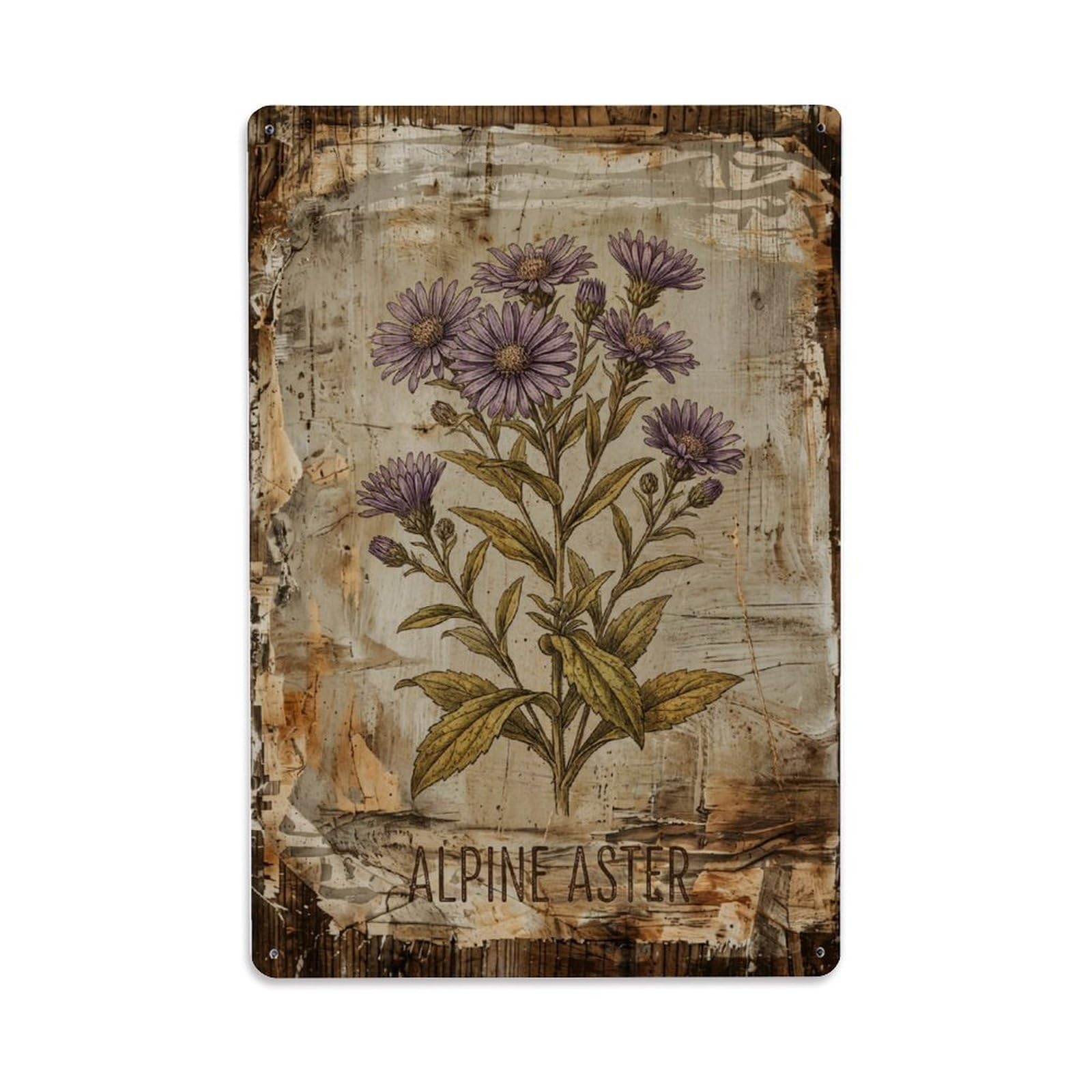 Fqnyr Style Alpine Aster Flower Metal Tin Sign Plaque Wall Decor For Cafe, Club Bar, Office, Home Garden Metal Poster 8X12inch
