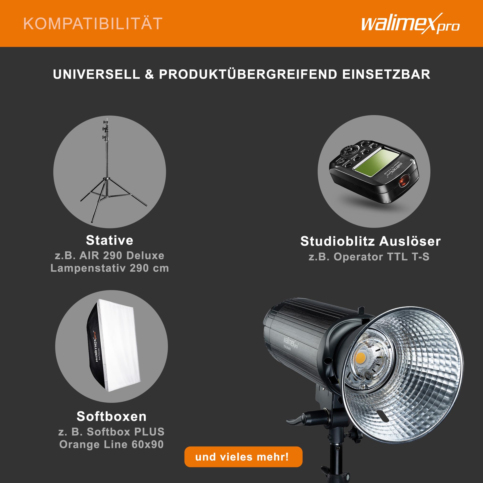 Walimex pro Campaigner 600 HS Studioblitz mit integriertem 2,4 GHz Empfänger, Blitzgerät 600 Ws mit Reflektor, Fotoblitz mit schneller Abbrennzeit, LED-Einstelllicht und Bedienpanel