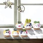 Pots sucants avec drainage 3.6 1 cm Mini Pots de chat pour plantes Petit planteur animal Petite céramique Air Pots de fleurs de plantes Cactus Faux Planters Conteneurs avec bac en bambou