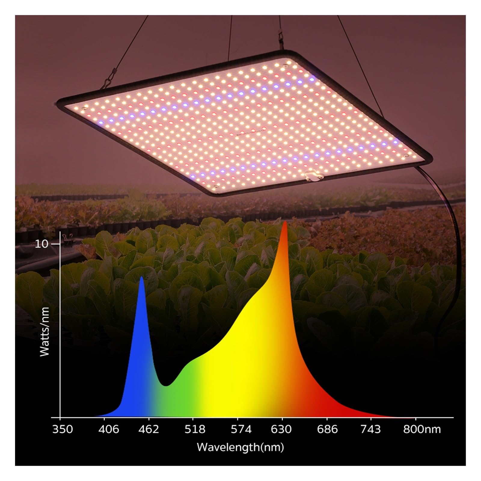 Lámpara de Cultivo, Lámpara LED de Espectro Completo for Cultivo de Plantas, CA 85-240 V, 40 W, for Cultivo en Interiores, luz de Crecimiento(3pcs)