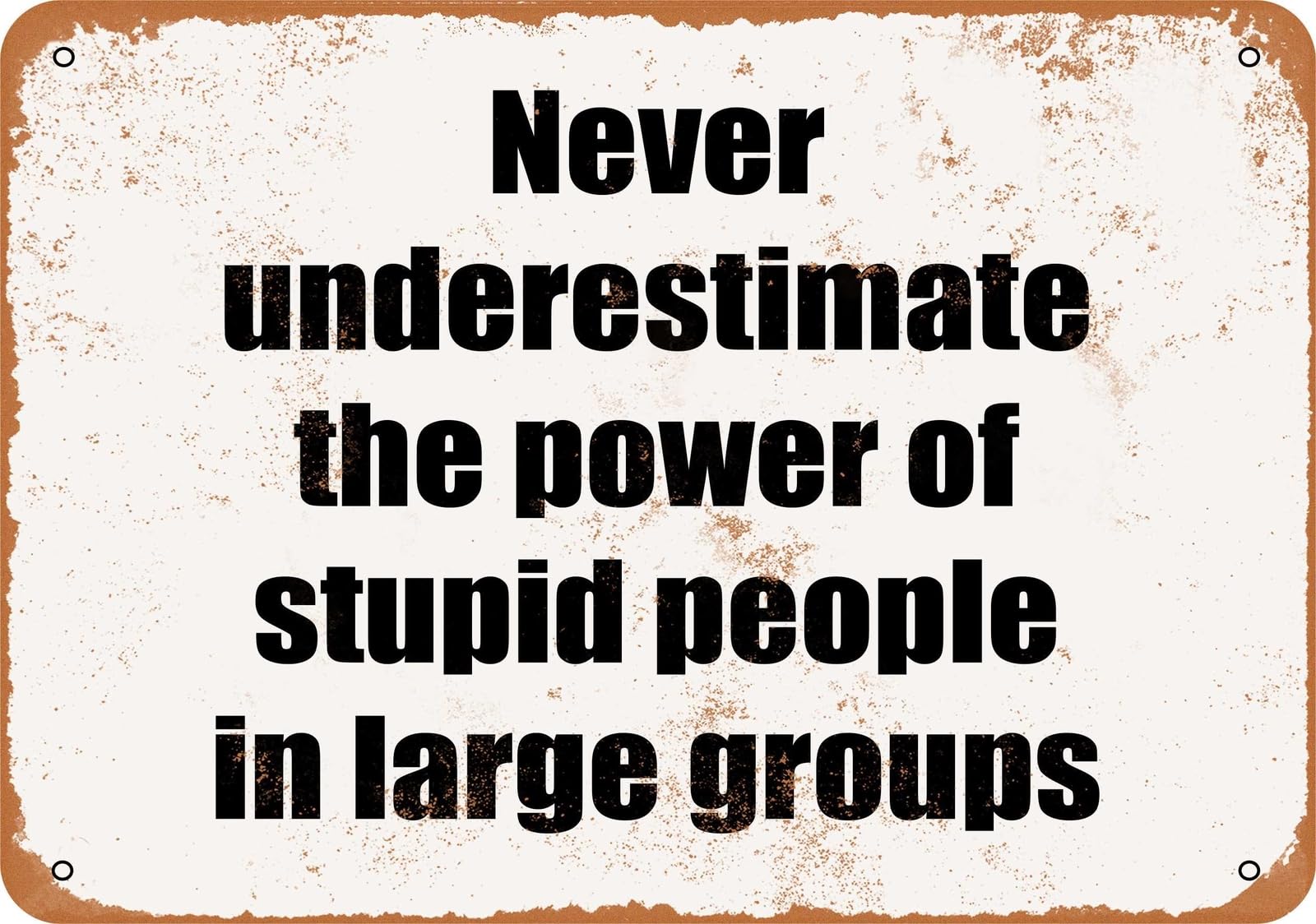 Miaomansenstore Metal Sign - Never Underestimate The Power Of Stupid People In Large Gr Home Decor