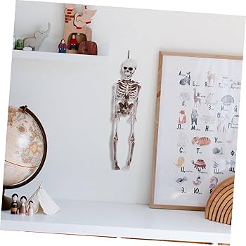 Lurrose スケルトンマンモデル スケルトンモデル スケルトンの