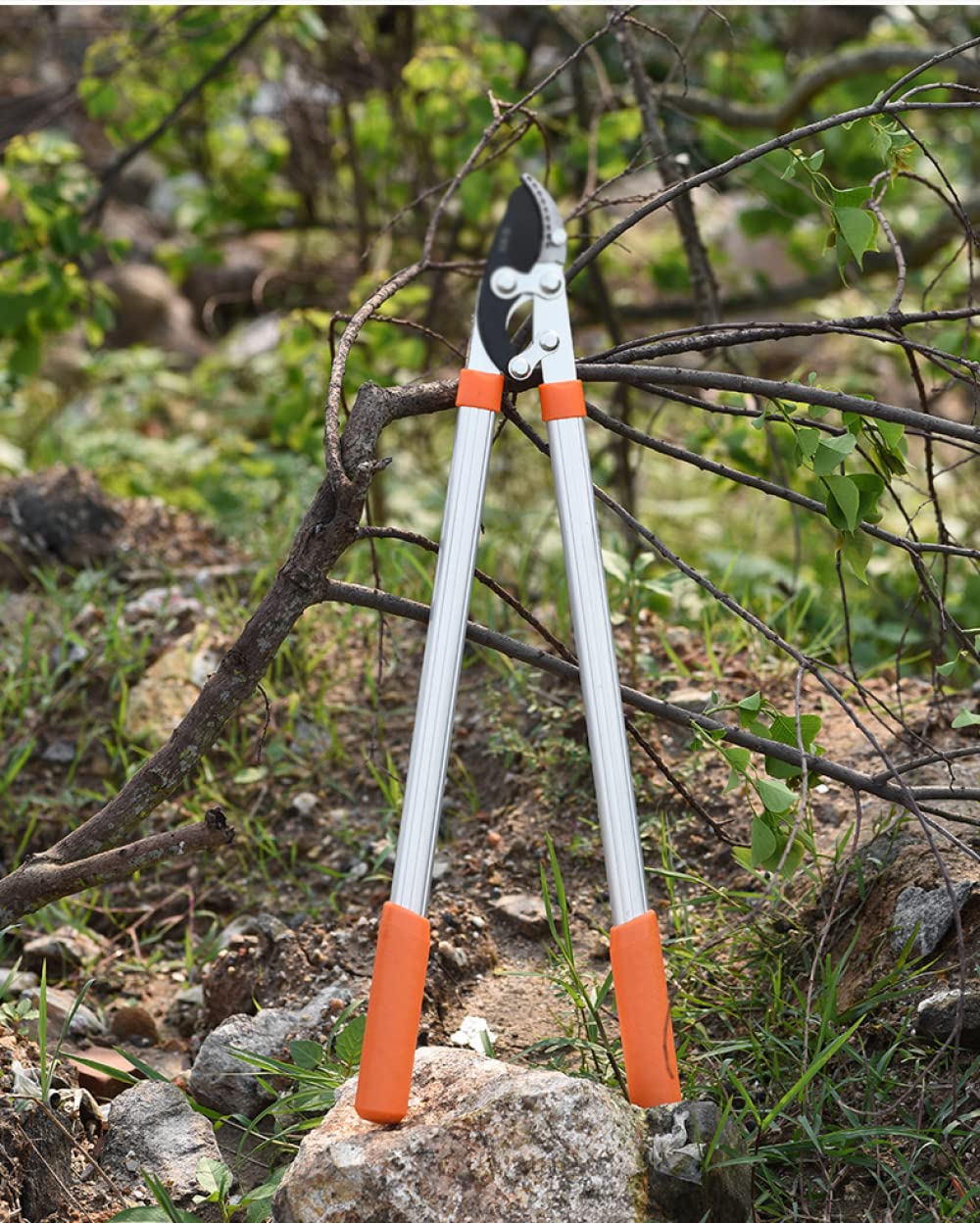 ARKEM Tijeras Para Podar áRboles, Podadora De Ramas Altas Para JardíN, Tijeras TelescóPicas Para Podar áRboles Con Mango Largo Para Uso DoméStico