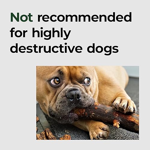 Miniatura 4 de BALANCE Oxford - Cama para perros extra grandes, impermeable, para exteriores, tapete para jaula de perro XL, se limpia con un paño y fácil de