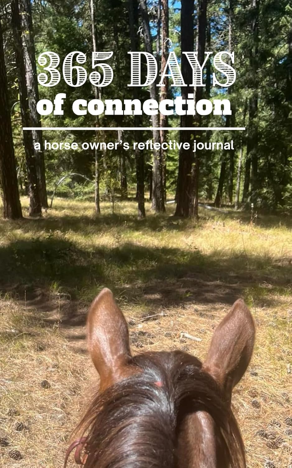 365 Days of Connection: A Horse Owner’s Reflective Journal