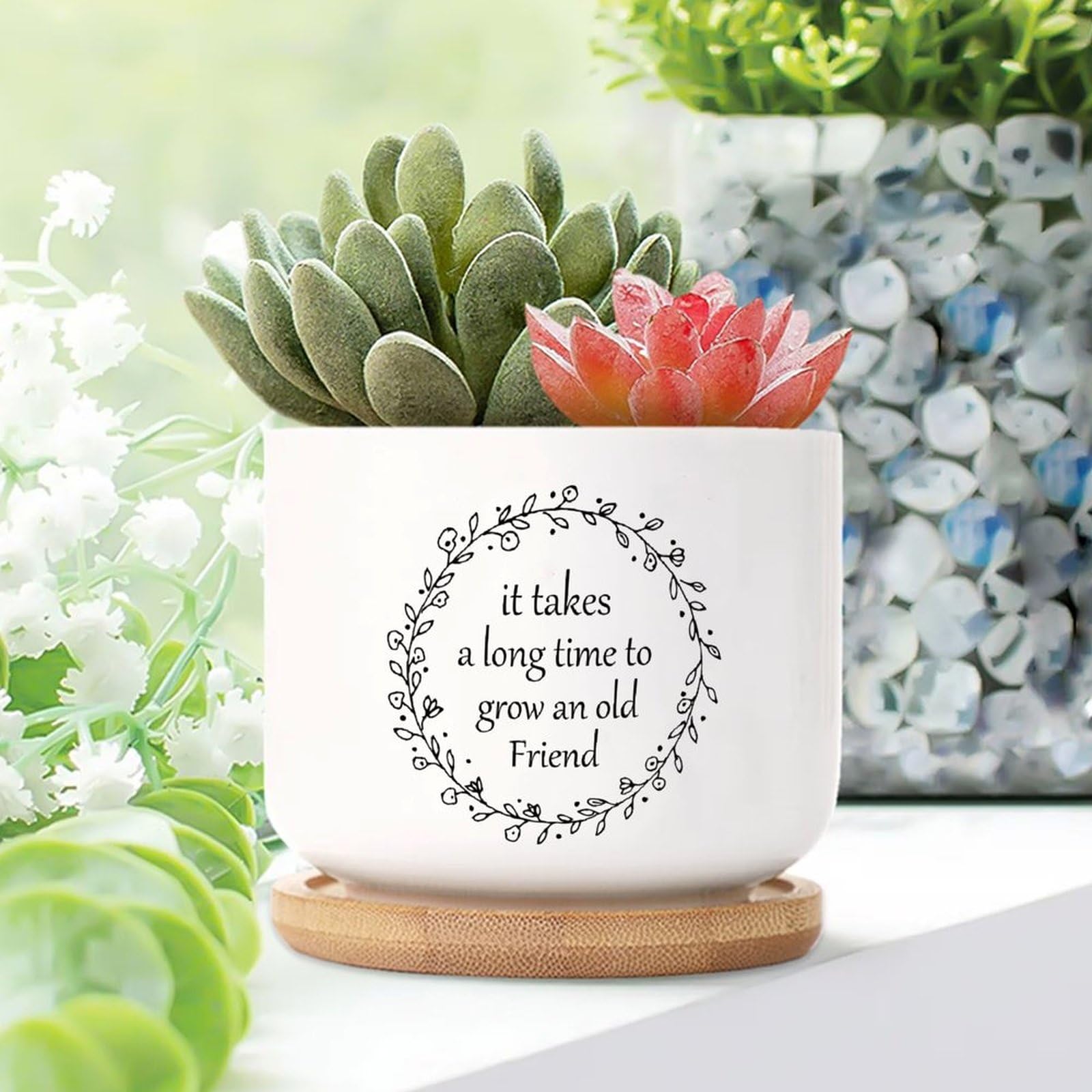 Yelolyio It Takes A Long Time to Grow An Old Friends Planters Ceramic Christian Scripture Round Flower Pot With Drainage Holes And Bamboo Tray Pot For Indoor Outdoor Garden