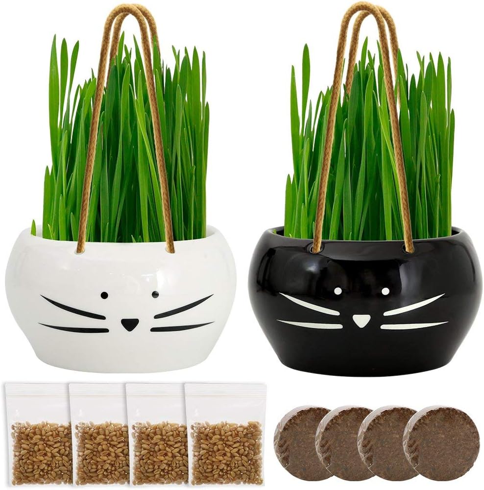 Koolkatkoo Cat Grass Kit Hanging Planter Set for Cats Ceramic Flower Pots Grass Black and White