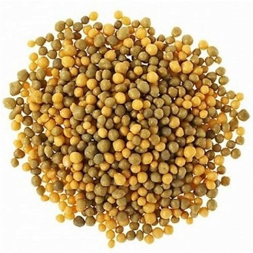 ® Osmocote Classic - Alimento para plantas de liberación inteligente de flores y verduras, 15 onzas (fertilizante para plantas 14-14-14)